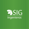 Hochimin-LogoManual_sigingenieros-02