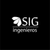 Hochimin-LogoManual_sigingenieros-05